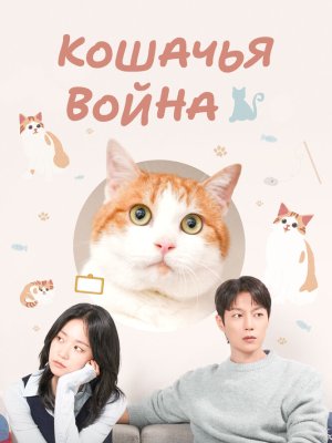 Кошачья война